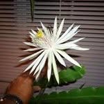 Colleen Barton Roberts - @ccroberts58 - Instagram