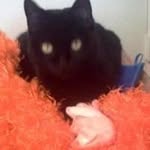 Cindy Barton - @cindy.rogers.barton - Instagram