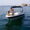 bartonjohnsimpson - @bartonjohnsimpson - TikTok