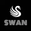bar_swan - @bar_swan1 - TikTok