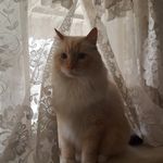 Barton Walker - @palukanu - Instagram