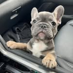 Brenda Barton Wilson - @bbwilson2 - Instagram