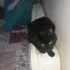 Sophie Barton Wilson - @sophie.barton3 - TikTok