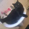 Sophie Barton Wilson - @sophie.barton.wils - TikTok