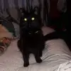 Sophie Barton Wilson - @sophiewilson749 - TikTok