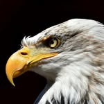 Bartosz Borkowski - @bartosz7403 - Instagram