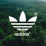 Bartosz_Borkowski - @bartosz_borkowski5 - Instagram