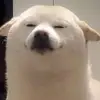 bartoszjachim74 - @bartoszjachim74 - TikTok