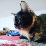 Bartosz Jasiński - @bartoskkl - Instagram