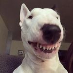 Bartosz Krajewski - @barkra4 - Instagram