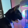 Bartosz Maj - @bartosz.maj3 - TikTok