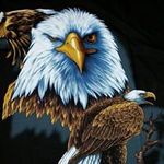 Bartosz Orłowski - @orcelus - Instagram