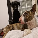 Bartosz Pawłowski - @martulakozakiewicz - Instagram