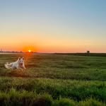 Bartosz Rak - @rakowsky71 - Instagram