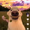 Bartosz jak coś xdd - @bartosz.ryba - TikTok