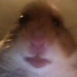Bartosz Sawicki - @bartosz5484 - Instagram