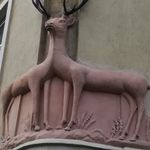Bartosz Żyluk - @bartoszzyluk - Instagram
