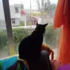 Bronze - @inikobarucgarciac - TikTok