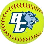 Baruch College Softball - @baruch_softball - Instagram