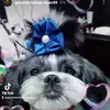 Baruch Garcia - @baruch.garcia - TikTok