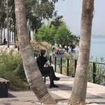 Baruch Grossman - @brucefund - Instagram