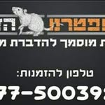 ברוך הדברות - @baruchhu1234 - Instagram