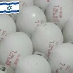 Baruch Rubin - @baruchrubin - Instagram