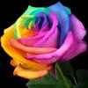Barun_Banerjee - @Barun_Banerjee - TikTok