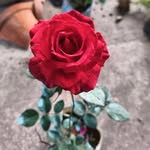 Barun Hazra Barun Hazra - @barunhazra571 - Instagram