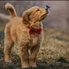 Barun_Kar - @Barun_Kar - TikTok
