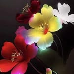 Barun Mishra - @barun.mishra.7902 - Instagram