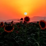 Barzan Mustafa - @barzan1984mustafa - Instagram