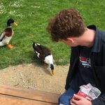 Bas Bakker - @basssbakker - Instagram