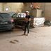 Basem Ahmed - Facebook