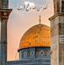 Basem Farag - Facebook