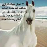 Basem Farag - @basem.farag.98 - Instagram