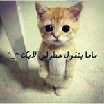 basem_a6_ - @basemhaddad_16 - Instagram