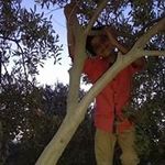 basem haddad - @bdjdbbxjsbdn - Instagram