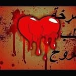 Basem Haddad - @basemhaddad3 - Instagram
