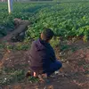 Basem Hussein - @basem.hussein8 - TikTok
