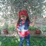 Basem Abo Jaber - @basemabojaber - Instagram