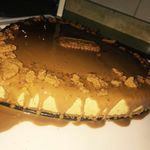 @jaber_basem - Instagram