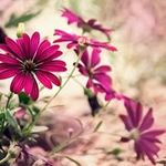 Basema Abduljalil - @basemaabduljalil - Instagram