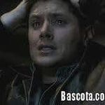 Basem Khalil - @basem_khalil - Instagram