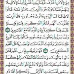 Basem Othman - @basem8365 - Instagram