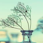 Basem Othman - @basemothman7 - Instagram