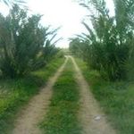Basem Othman - @basem6323 - Instagram
