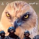 Basem Qasem - @ahmad.qasem.94009 - Instagram