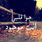 Basem Saad - @basem8968 - Instagram