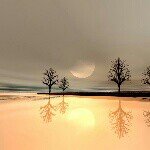 @basem_saad - Instagram